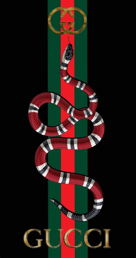 what type of snake is on gucci|why does gucci use snake.